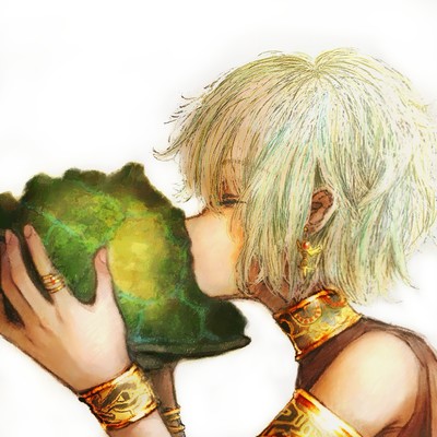 きみの甲羅のジャケット写真