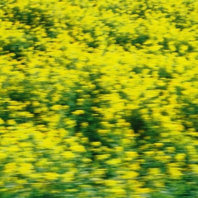 星のジャケット写真