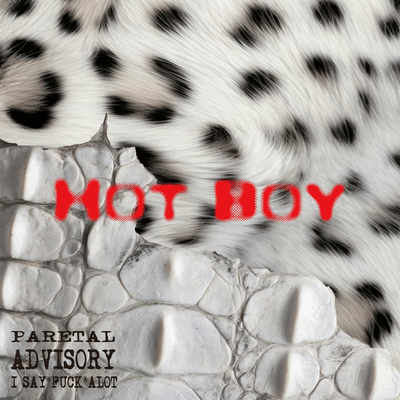 Hot Boyのジャケット写真