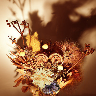 BAKEMONOのジャケット写真