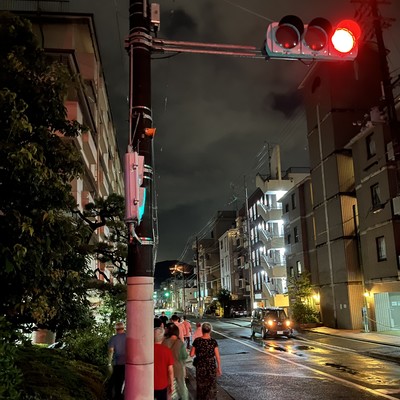 灰と蝶々のジャケット写真