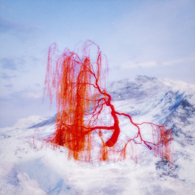 really rich (feat. Lonestar Void) Front Cover