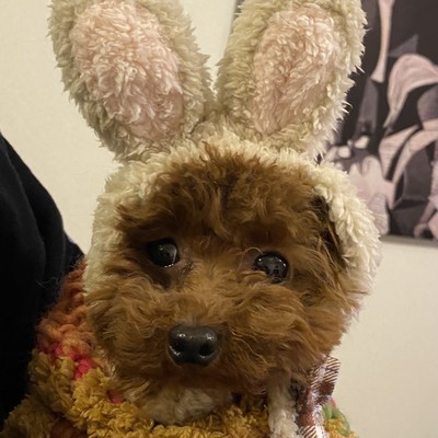 White Snow Front Cover