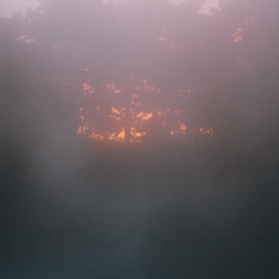 Morning mist / Embers Front Cover