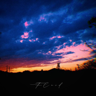 Fluidのジャケット写真