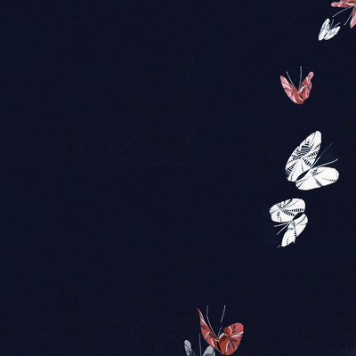 十九のジャケット写真