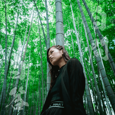 自問自答のジャケット写真