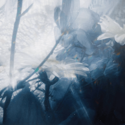 Beautiful sonata (to You too) . Front Cover