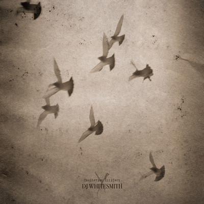 Hesitation Artifact Front Cover