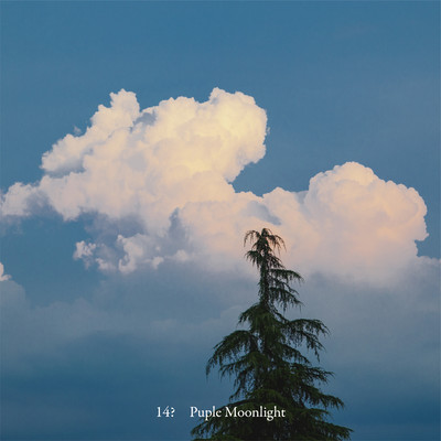 Puple Moonlight Front Cover