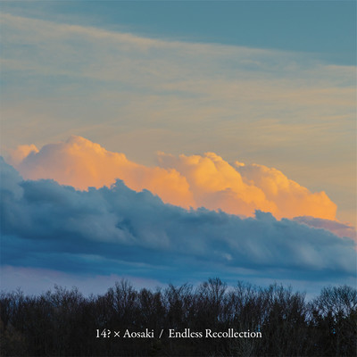 Endless Recollection Front Cover