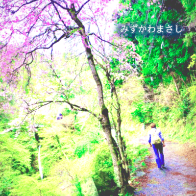 Never Ending Journey (Live at Tokyo, 2021) Front Cover