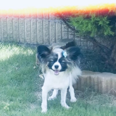 Prayのジャケット写真