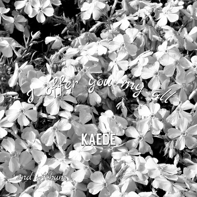 I offer you my all Front Cover