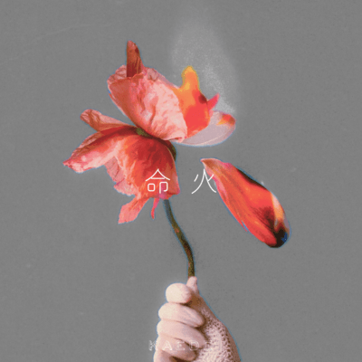 命火のジャケット写真