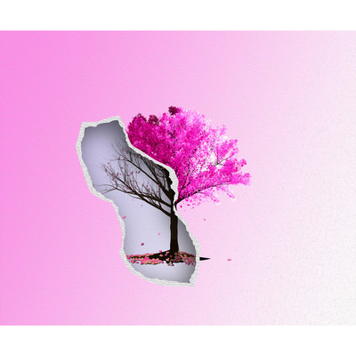 OpusONEのジャケット写真