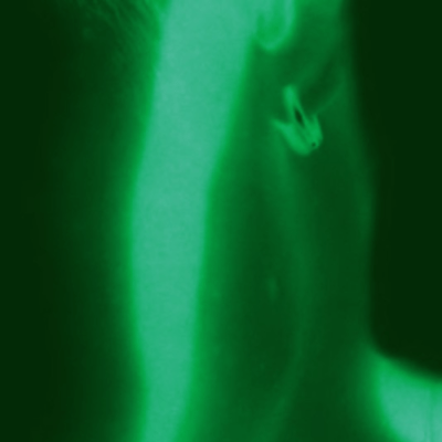 Bornのジャケット写真