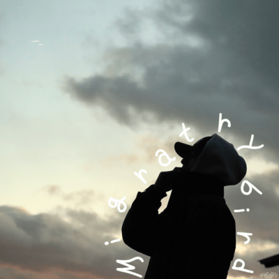 Migratory bird Front Cover