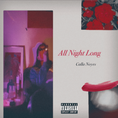All Night Long Front Cover