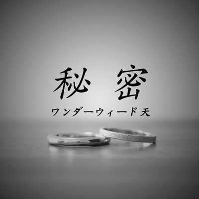 秘密のジャケット写真