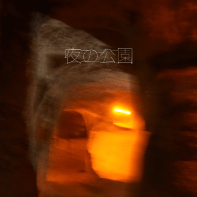 夜の公園のジャケット写真
