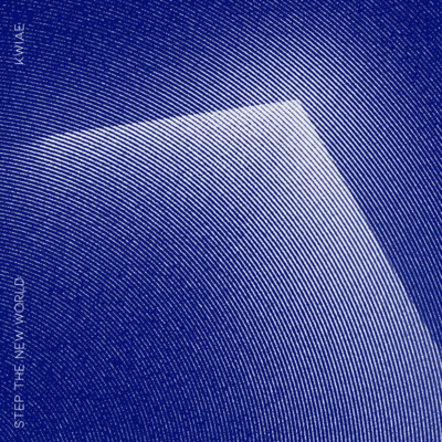Step the new world ~NJS mix~のジャケット写真