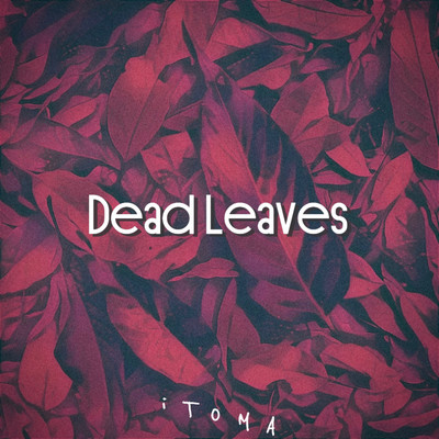Dead Leaves Front Cover