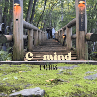 C - mind Front Cover