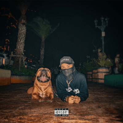 NGV5のジャケット写真