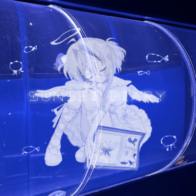 sunset diaryのジャケット写真