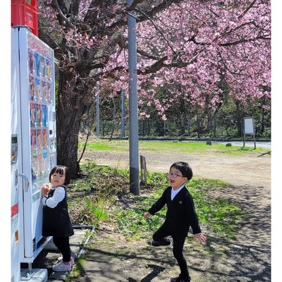 Pilgrim of the Blossoms Front Cover