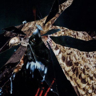 Half way (feat. shurreal, 8ow & siesta)のジャケット写真