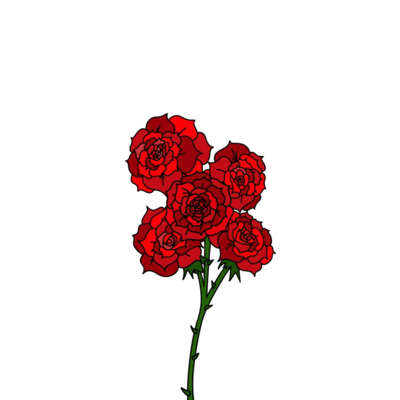Redrose Front Cover