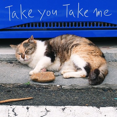 Take you Take meのジャケット写真