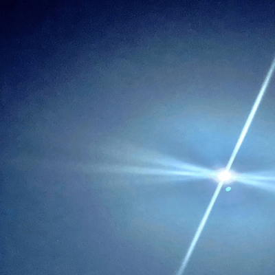 動物ビスケットのジャケット写真