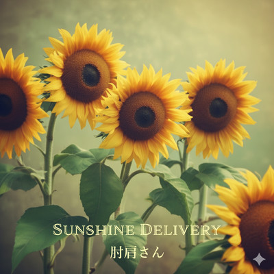 Sunshine Delivery Front Cover