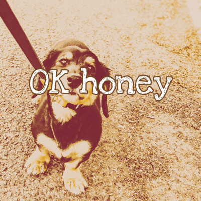 OK honey Front Cover
