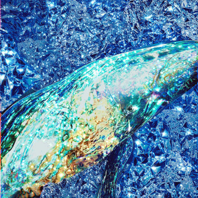 DIVE INTO THE WHALE (2023 Remastered) Front Cover