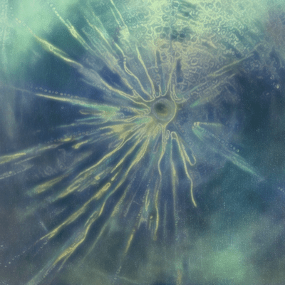 光はカゲのジャケット写真