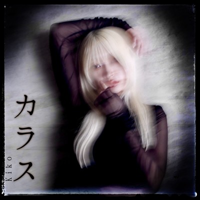 カラスのジャケット写真