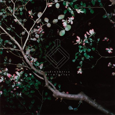 Klein Bottle Front Cover