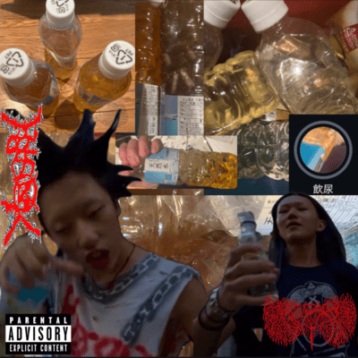 Drink my PiSS (feat. Merzgore)のジャケット写真