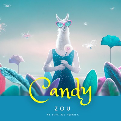 Candyのジャケット写真