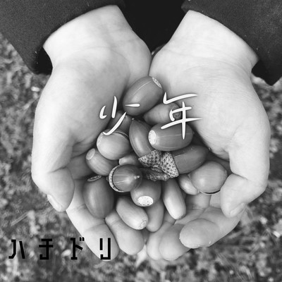 少年のジャケット写真