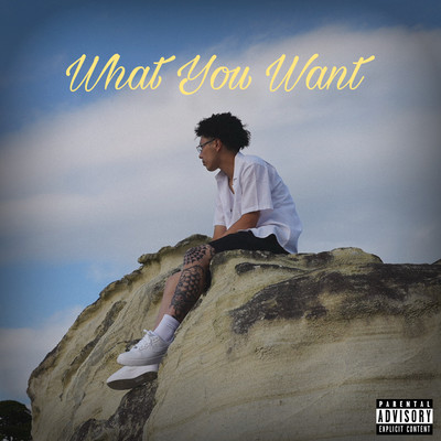 What You Want Front Cover