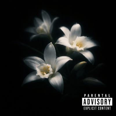 Vanilla (feat. SHAGZ) Front Cover