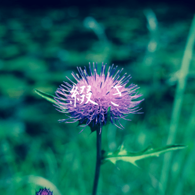 綴きのジャケット写真