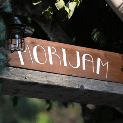 おいでよ!森ジャム!のジャケット写真