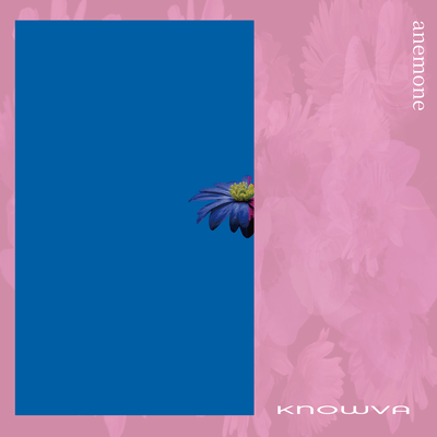 anemone Front Cover