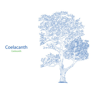 Coelacanthのジャケット写真